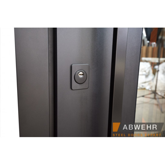 Вхідні двері ABWEHR Queen для вулиці