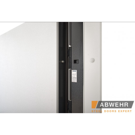 Вхідні двері ABWEHR 498 Scandi для вулиці