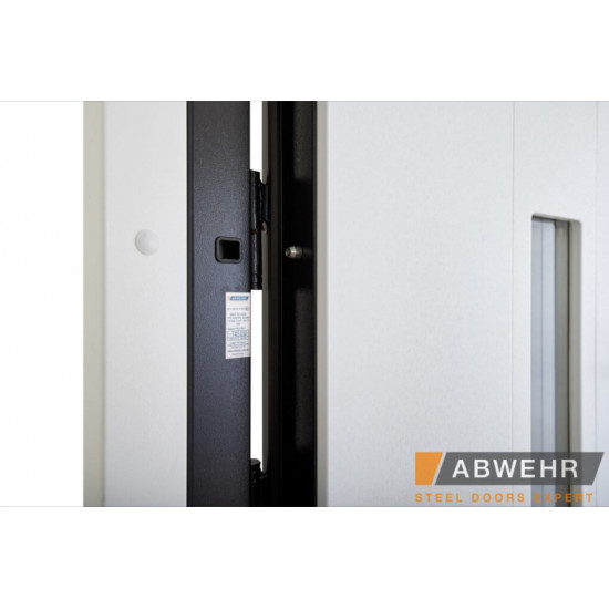 Вхідні двері ABWEHR UFO BLACK з фрамугою
