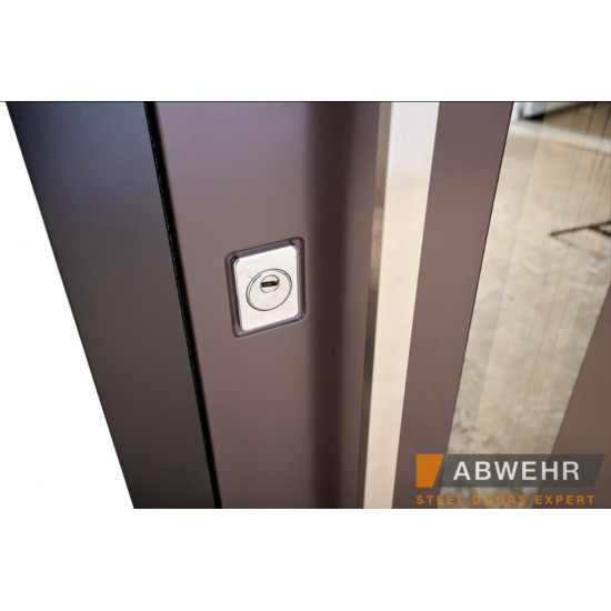 Вхідні двері з фрамугою ABWEHR Ufo Black для вулиці
