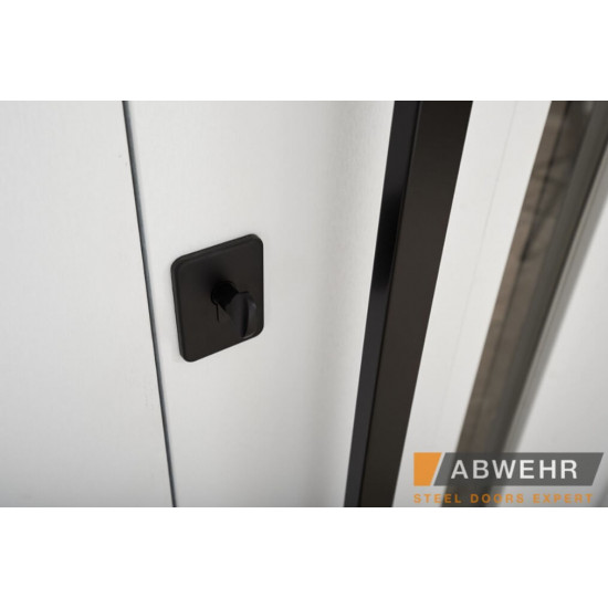 Вхідні двері ABWEHR Ufo Black з фанери для вулиці