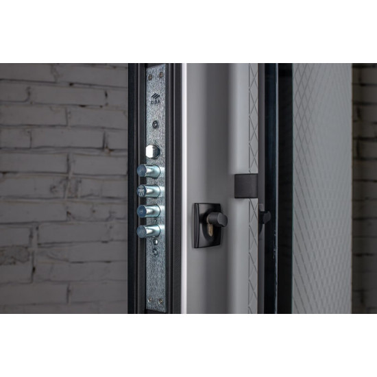 Металеві вхідні двері MaxiLux К3858 