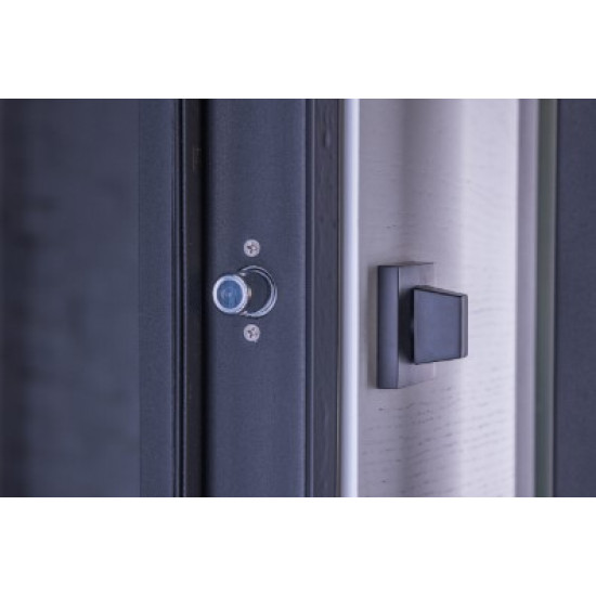 Металеві вхідні двері MaxiLux К3899