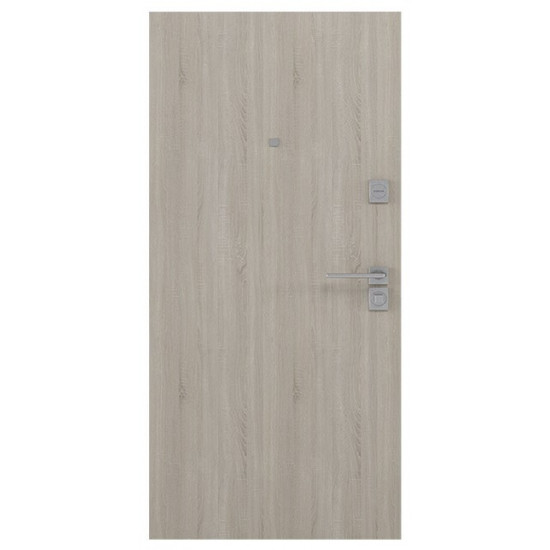 Вхідні двері RODOS Steel BAS 003 для вулиці